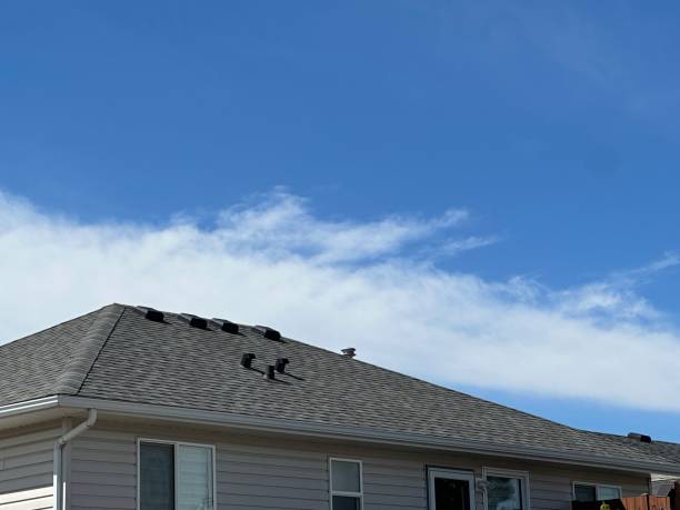 Best Green or Eco-Friendly Roofing Solutions  in New Lexington, OH